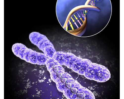 会声会影x4安装教程 会声会影2026安装 代孕借卵