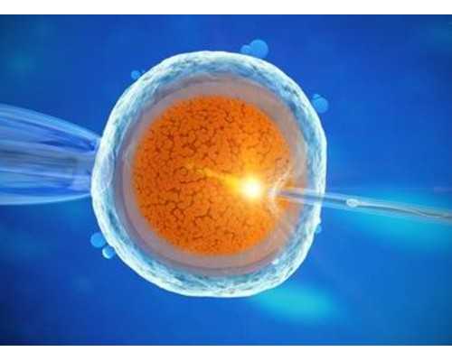 试管移植前阴道消毒都会痒塞药反而影响胚胎? 高端代孕机构