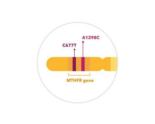 2300的校服费，家长抱怨太贵，学校：不穿就扣分！ 靠谱代孕网哪家好